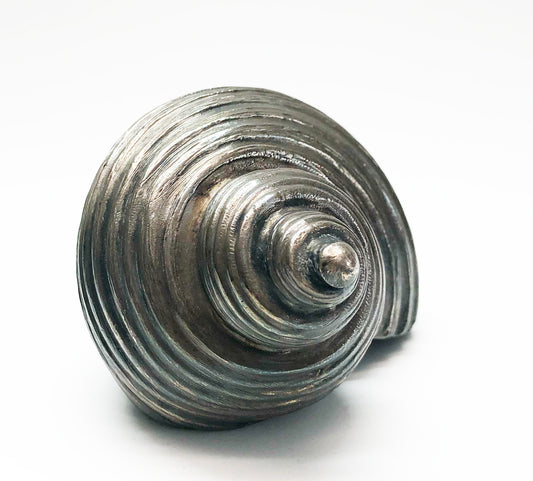 1950s Colibri Shell Shaped Table Lighter