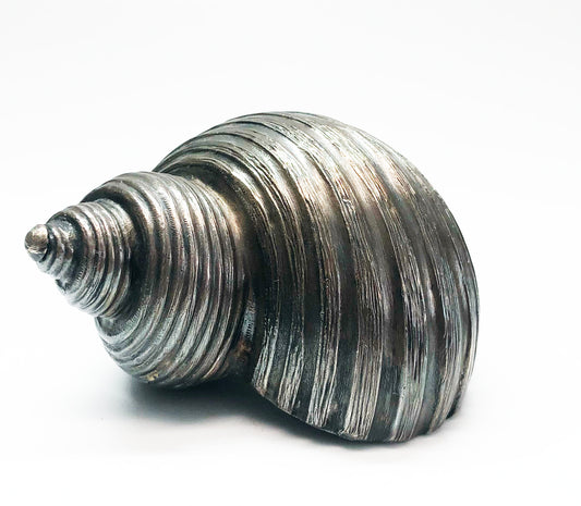 1950s Colibri Shell Shaped Table Lighter