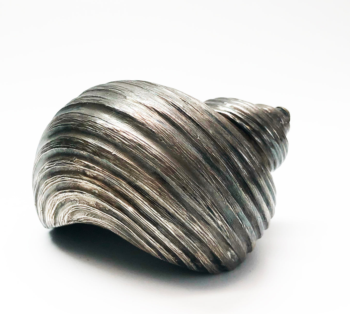 1950s Colibri Shell Shaped Table Lighter