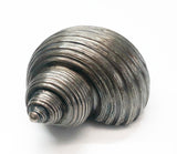 1950s Colibri Shell Shaped Table Lighter